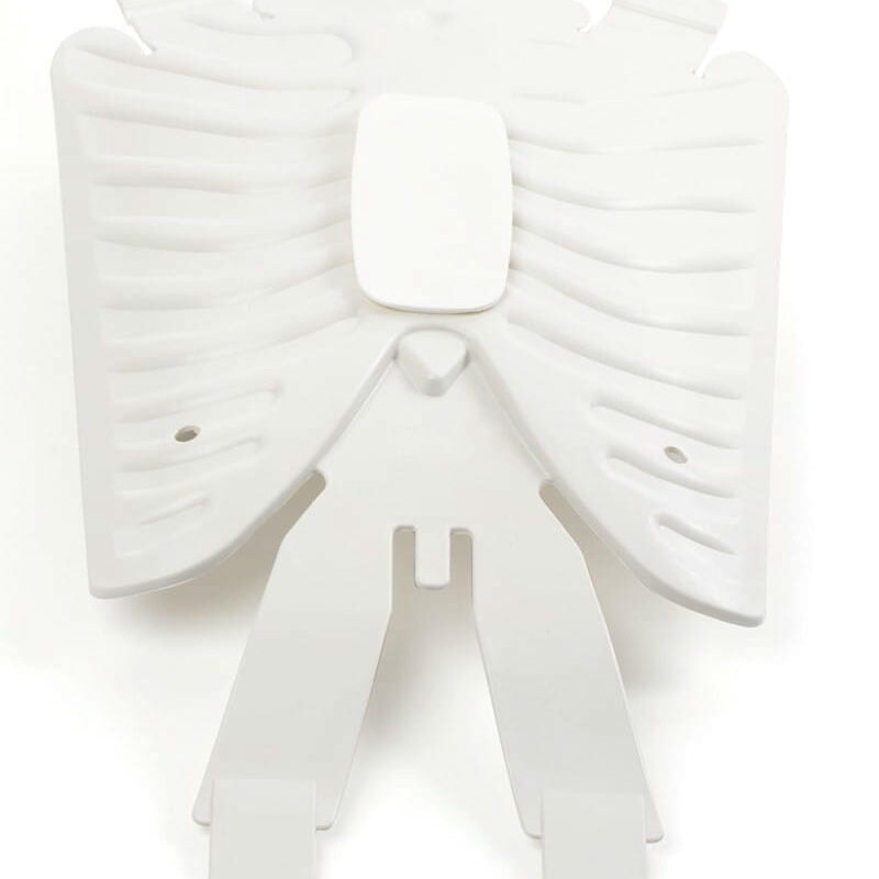 Little Anne żebra Rib plate