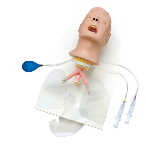 Głowa do intubacji Airway Larry na podstawie
