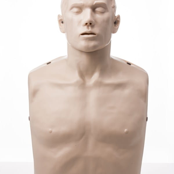 Brayden fantom Basic