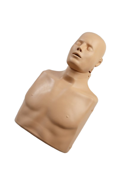 PRACTI MAN AD Fantom BLS/AED, dorosły/dziecko z torbą/matą treningową